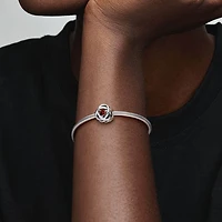Pandora January Red Eternity Circle Charm | 790065C06