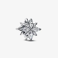 Pandora Sparkling North Star Charm | 793591C01
