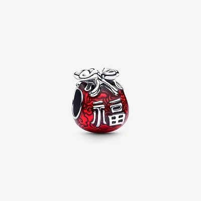 Pandora Lucky Bag Charm | 793620C01