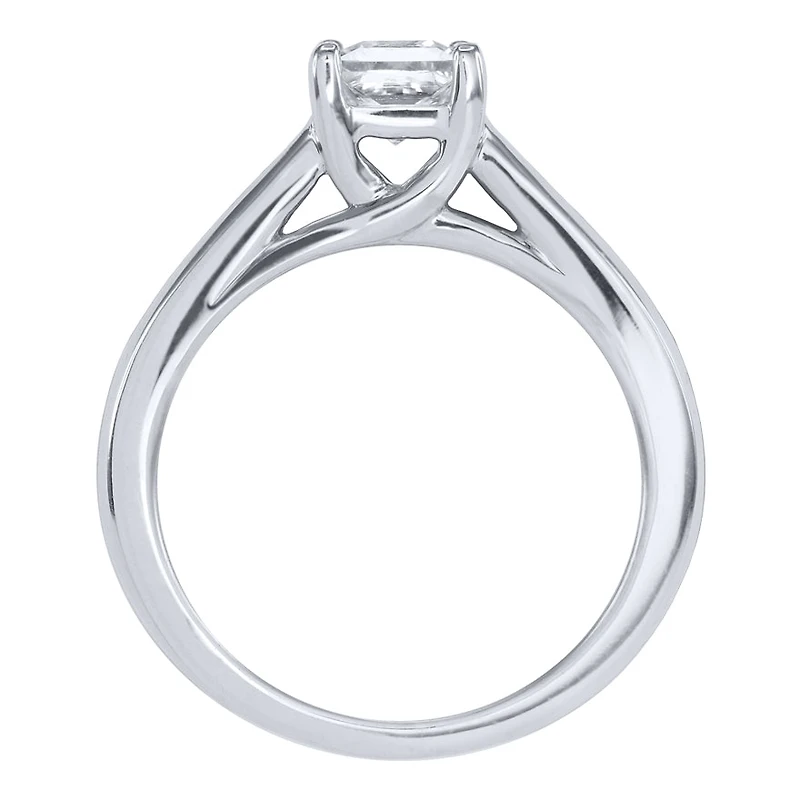 Princess Cut Diamond Engagement Ring 14K White Gold (1.00 ct tw)