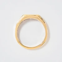 Gent's Channel Set Diamond Ring 10K Yellow Gold (0.25ct tw)