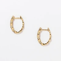 Diamond Hoop Earrings in 10K Yellow Gold (0.25 ct tw)