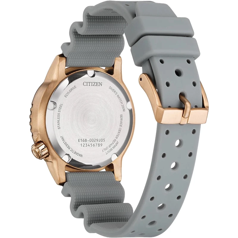 Citizen Eco-Drive Promaster Dive Blue Dial Watch | EO2023-00W