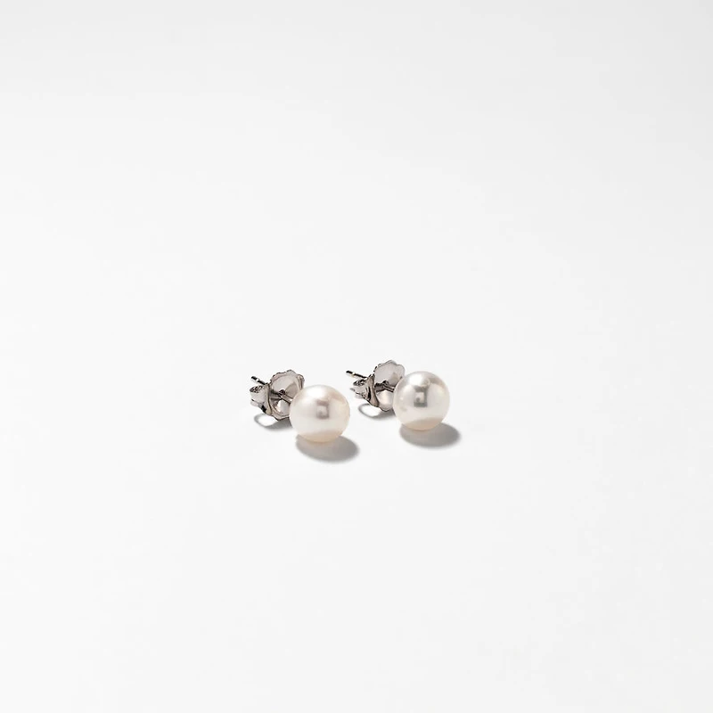 6-6.5mm Pearl Stud Earrings in 14K White Gold