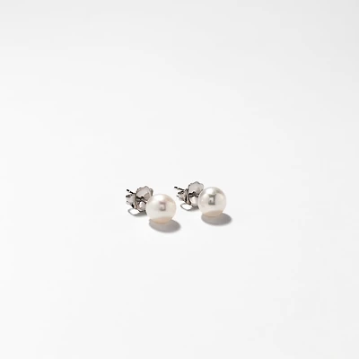 6-6.5mm Pearl Stud Earrings in 14K White Gold