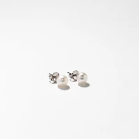6-6.5mm Pearl Stud Earrings in 14K White Gold
