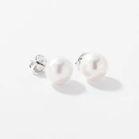 8.5-9mm Pearl Stud Earrings in 14K White Gold
