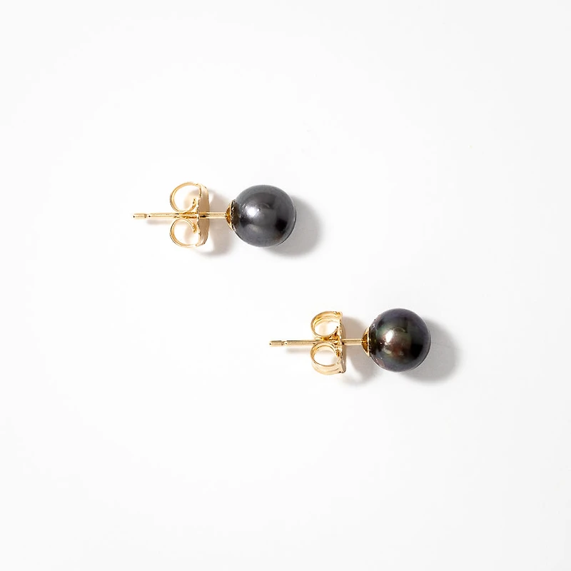 6-6.5mm Black Cultured Pearl Stud Earrings in 14K Yellow Gold