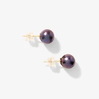 8-8.5mm Black Peacock Pearl Stud Earrings in 14K Yellow Gold