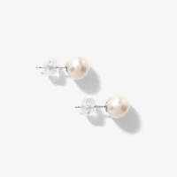 7-7.5mm Pearl Stud Earrings in 14K White Gold