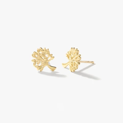 Family Tree Stud Earrings in 10K Yellow Gold