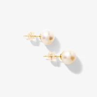 8.5-9mm Pearl Stud Earrings in 14K Yellow Gold