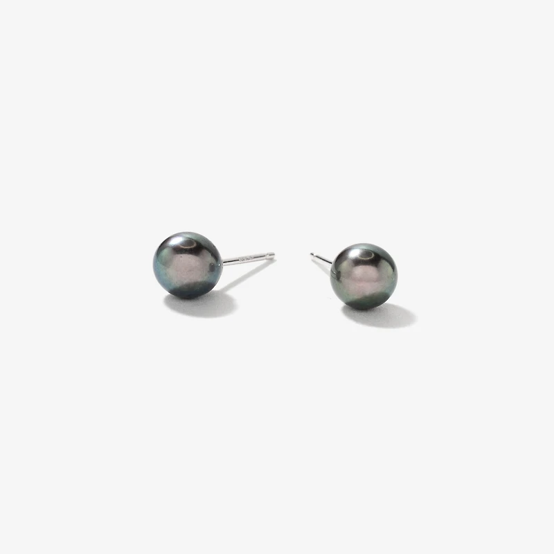5-5.5mm Black Cultured Pearl Stud Earrings in 14K White Gold