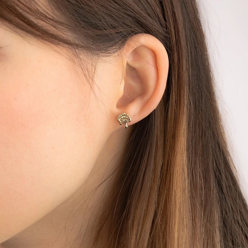 Family Tree Stud Earrings in 10K Yellow Gold