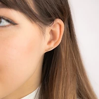 Link Bead Stud Earrings in 10K Yellow Gold