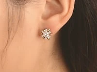 Diamond Star Earrings in 10K Yellow and White Gold (0.13 ct tw)