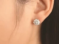 Diamond Cluster Round Stud Earrings in 10K Yellow and White Gold (0.40