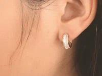 Diamond Hoop Earrings in 10K Yellow Gold (0.50 ct tw)