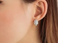 Diamond Cluster Earrings in 10K Yellow and White Gold (0.50 ct tw)