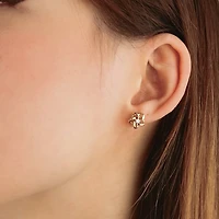 Diamond Star Stud Earrings in 10K Yellow Gold (0.05 ct tw)