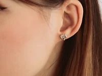 Family Tree Stud Earrings in 10K Yellow Gold
