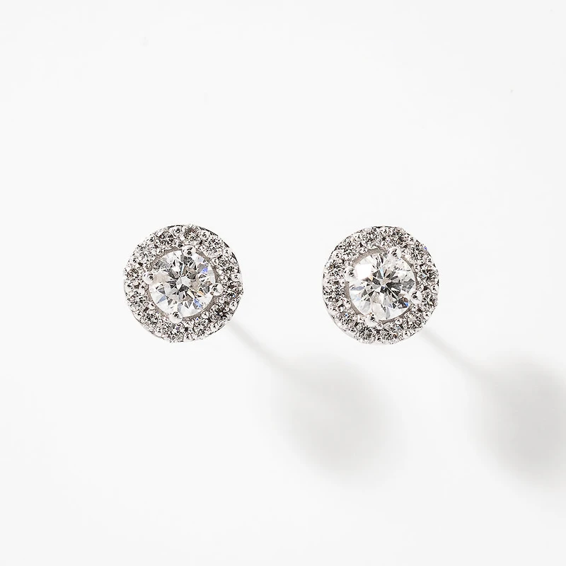 Diamond Stud Earrings in 14K White Gold (0.75 ct tw)