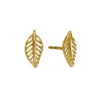Leaf Stud Earrings in 10K Yellow Gold