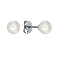 7-7.5mm Pearl Stud Earrings in 14K White Gold