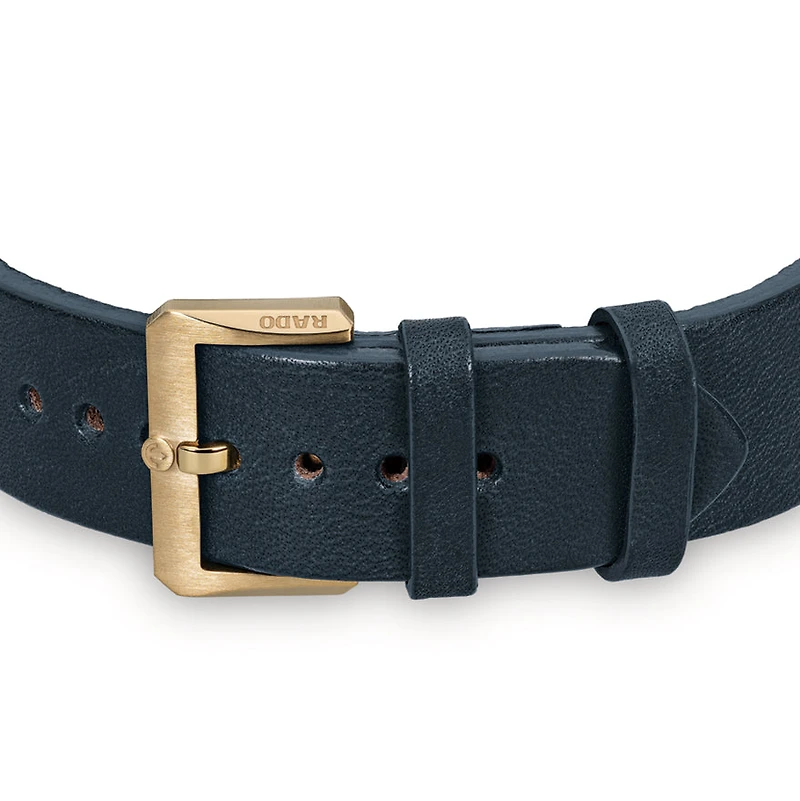 Rado Captain Cook Automatic Bronze | R32504205
