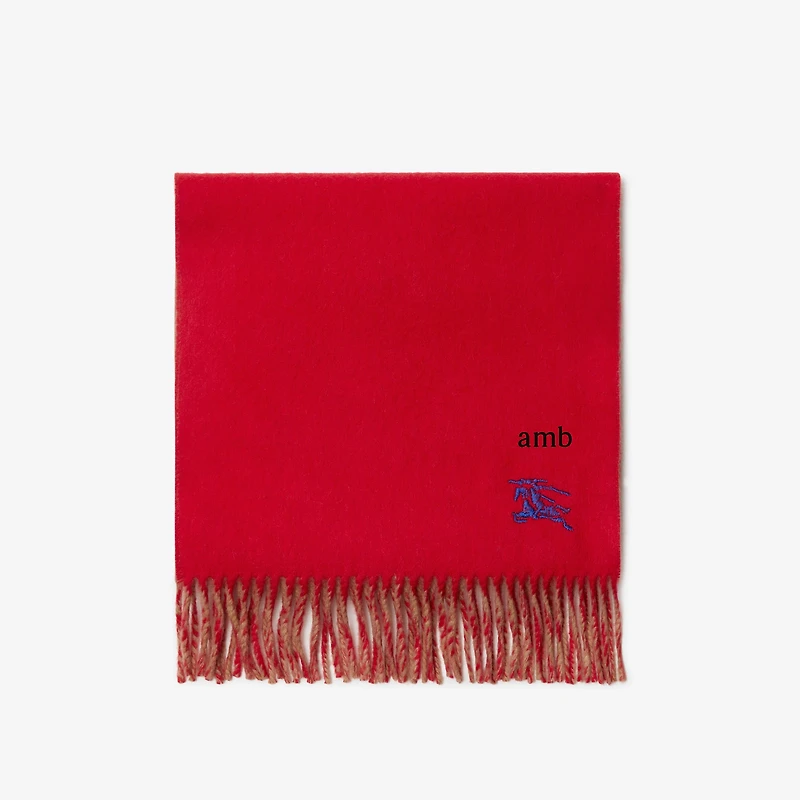 Reversible Cashmere Scarf in Pillar/camel | Burberry® Official
