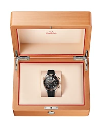 Seamaster Diver 300M Chronograph