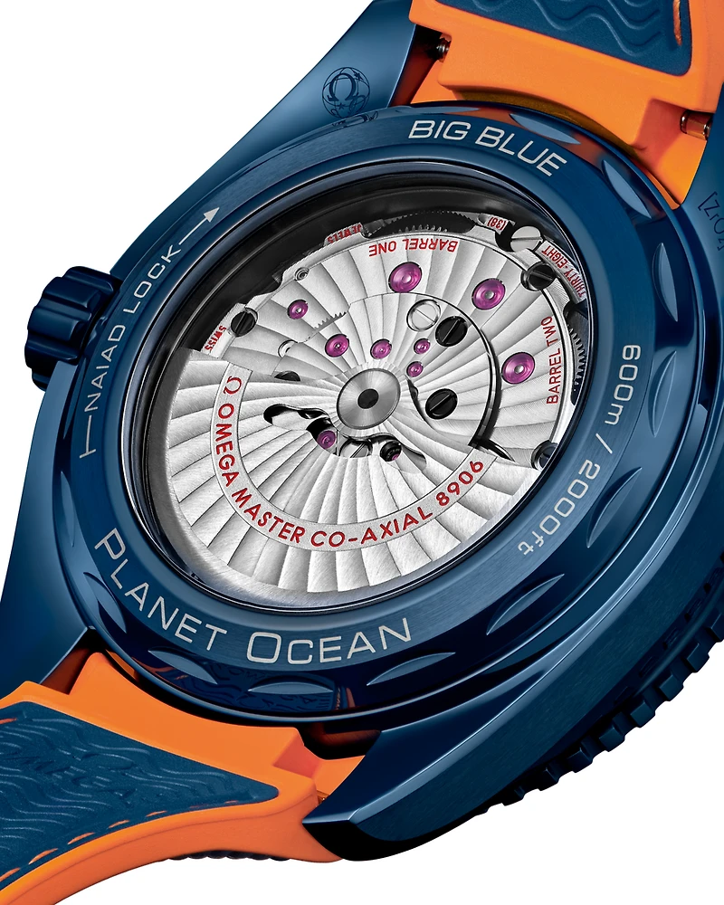 Seamaster Planet Ocean 600M "Big Blue"
