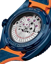 Seamaster Planet Ocean 600M "Big Blue"