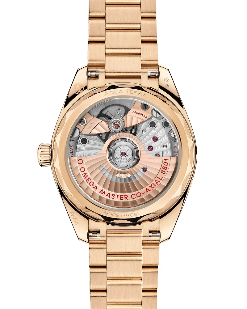 Seamaster Aqua Terra Shades