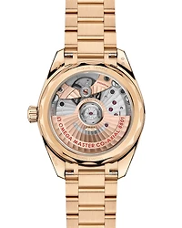 Seamaster Aqua Terra Shades