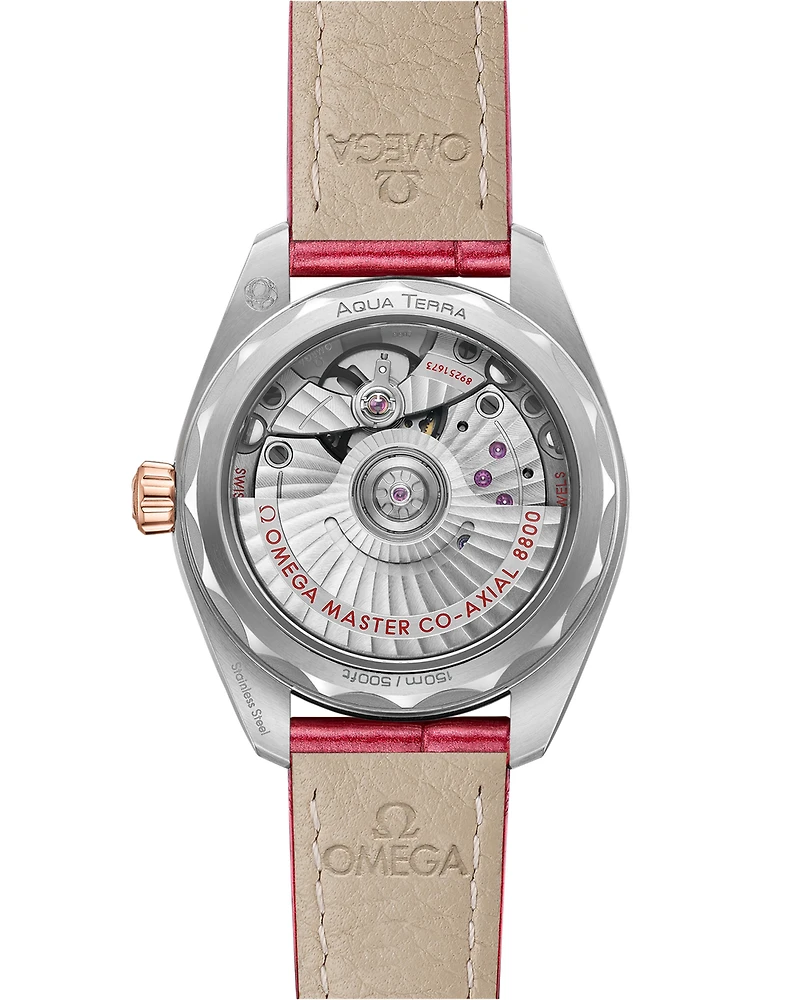 Seamaster Aqua Terra 150M