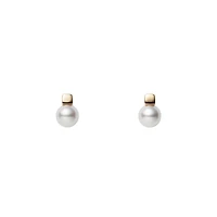 Akoya Cultured Pearl Earrings in 18K Yellow Gold