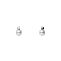 Akoya Cultured Pearl Earrings in 18K White Gold