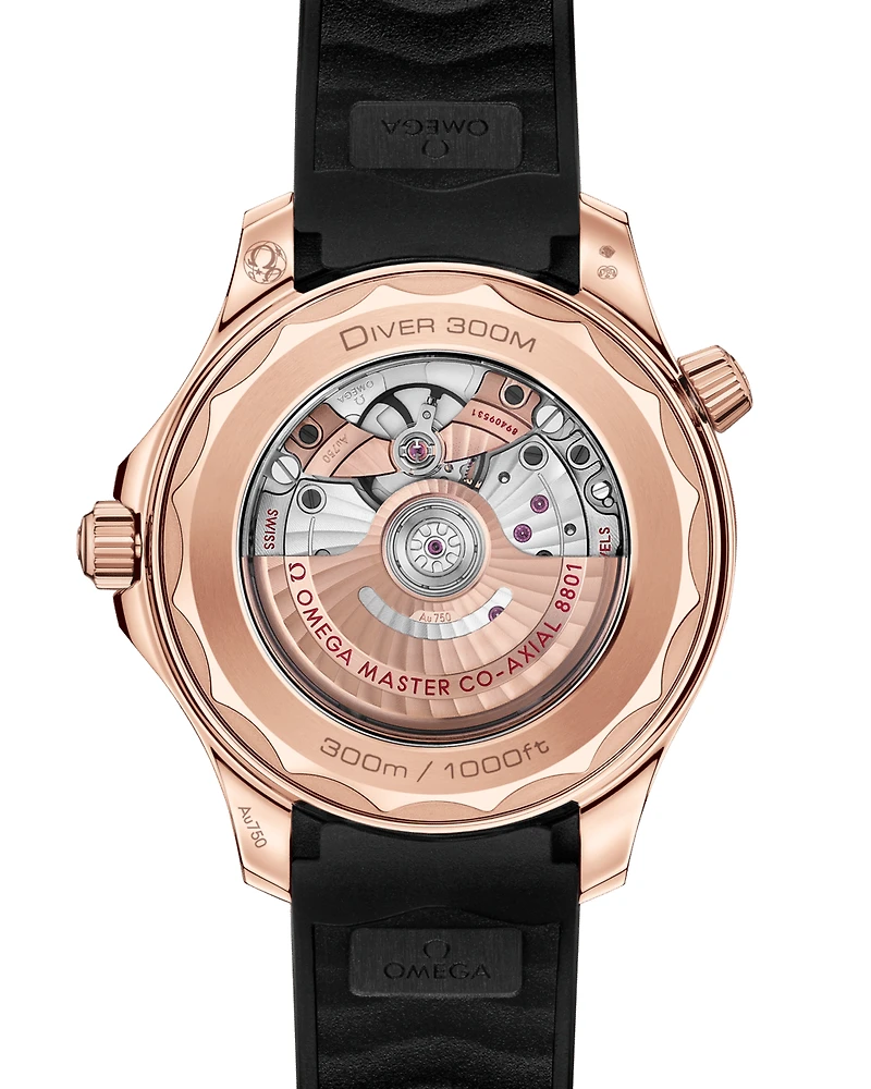 Seamaster Diver 300M