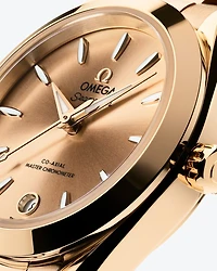 Seamaster Aqua Terra 150M