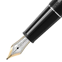 Meisterstück Platinum-Coated Fountain Pen