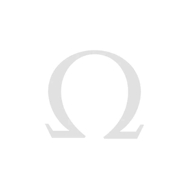 Speedmaster Moonwatch Professional