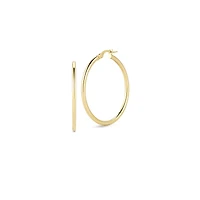 Designer Gold Medium Hoop Earrings