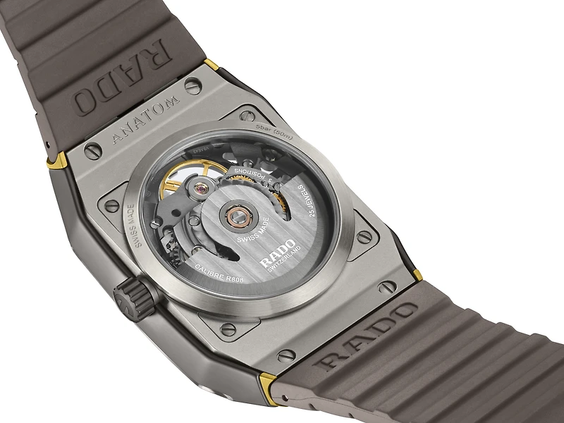Anatom Automatic Skeleton