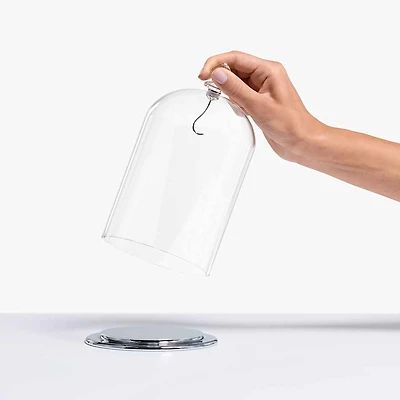 Bell Jar Display, large by SWAROVSKI