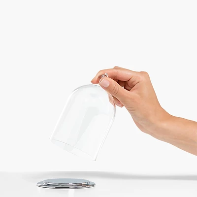 Bell Jar Display, small by SWAROVSKI