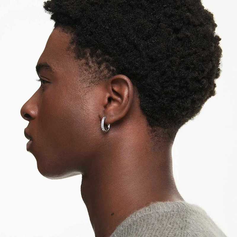 Dextera hoop earrings, Octagon shape, Round cut, Small, White