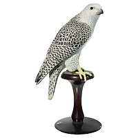 Kedari by SWAROVSKI