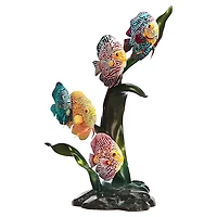 Amazonia by SWAROVSKI