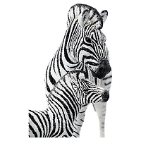 Crystal Myriad Uzuri by SWAROVSKI